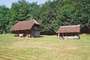 pleterje_muzej_07_800