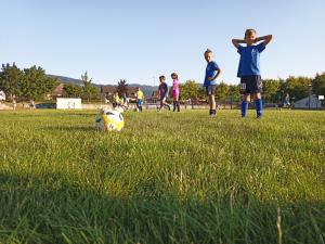 IMG_20190716_190310_5