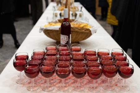 Proslavaobkulturnemprazniku-74