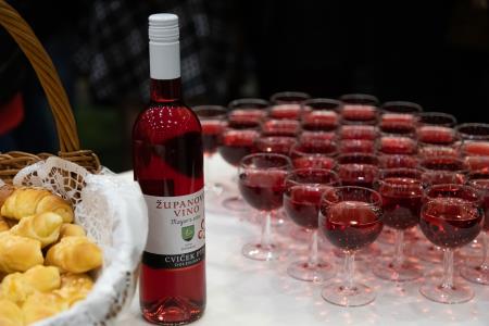 Proslavaobkulturnemprazniku-77