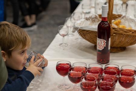 Proslavaobkulturnemprazniku-84