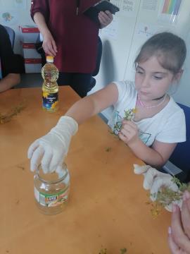 IMG_20230615_140706