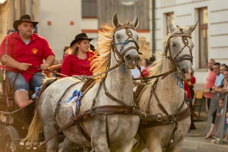JERNEJEVO-POVORKA2024-49