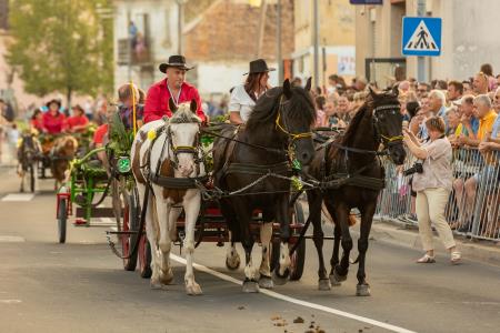 JERNEJEVO-POVORKA2024-52
