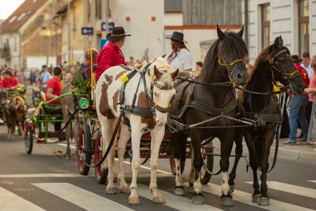 JERNEJEVO-POVORKA2024-54
