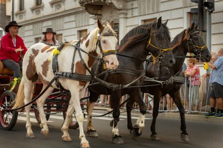 JERNEJEVO-POVORKA2024-56