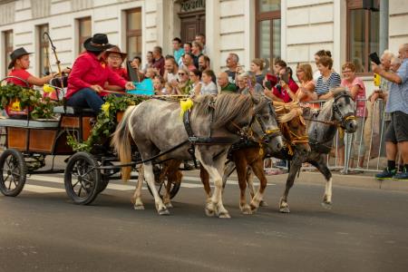 JERNEJEVO-POVORKA2024-59