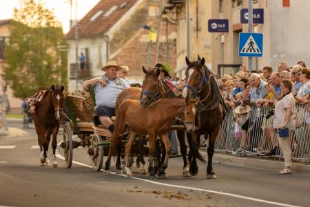 JERNEJEVO-POVORKA2024-70