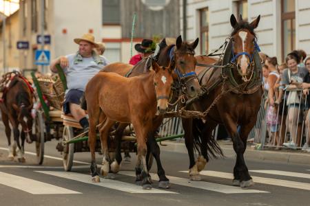 JERNEJEVO-POVORKA2024-72