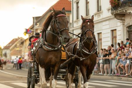 JERNEJEVO-POVORKA2024-74