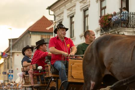 JERNEJEVO-POVORKA2024-75