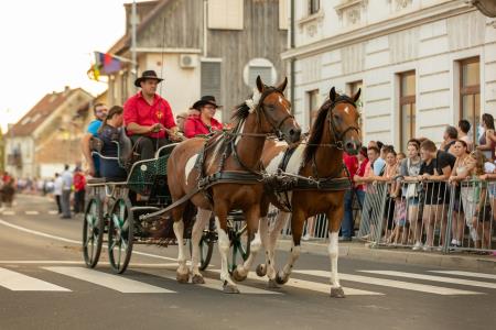 JERNEJEVO-POVORKA2024-80