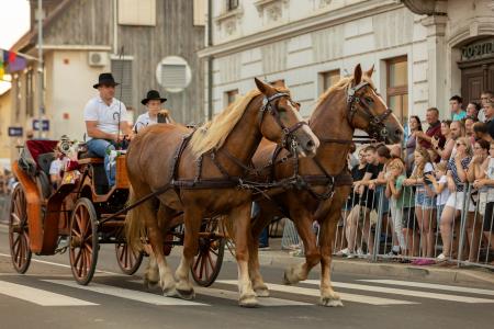 JERNEJEVO-POVORKA2024-85