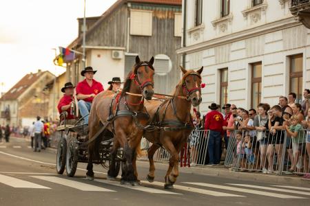 JERNEJEVO-POVORKA2024-89