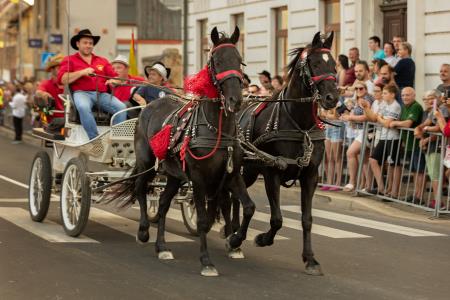 JERNEJEVO-POVORKA2024-94