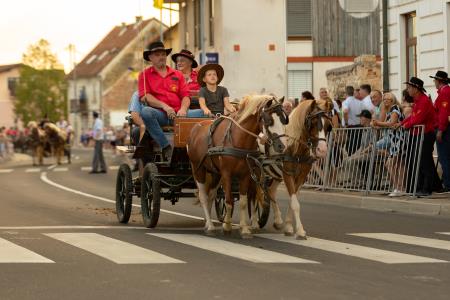 JERNEJEVO-POVORKA2024-96