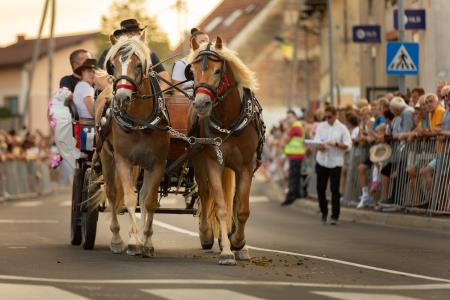 JERNEJEVO-POVORKA2024-99