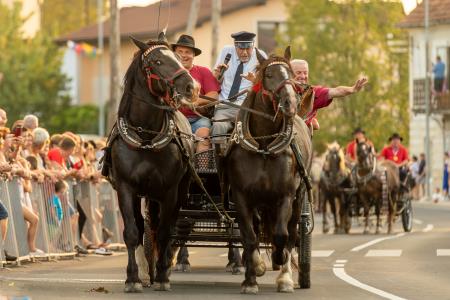 JERNEJEVO-POVORKA2024-105