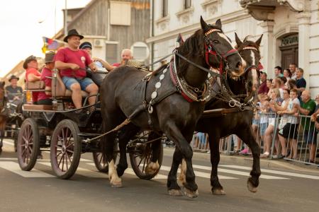 JERNEJEVO-POVORKA2024-106