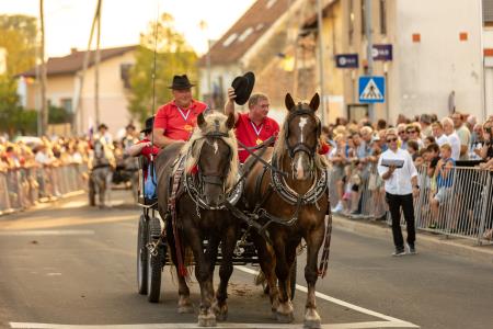 JERNEJEVO-POVORKA2024-111