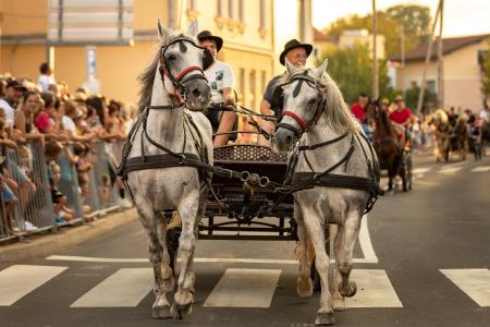 JERNEJEVO-POVORKA2024-115