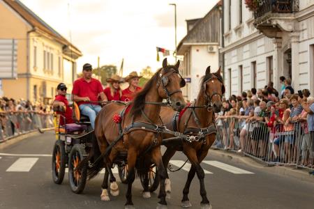 JERNEJEVO-POVORKA2024-118