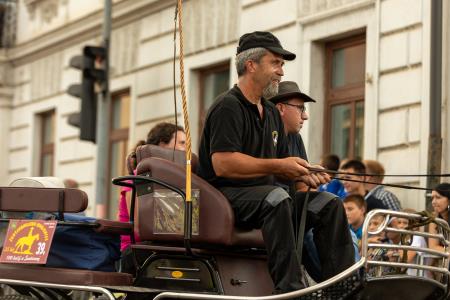 JERNEJEVO-POVORKA2024-125