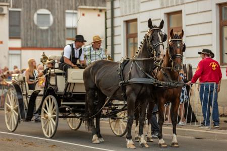 JERNEJEVO-POVORKA2024-147