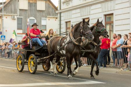 JERNEJEVO-POVORKA2024-154