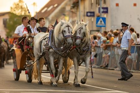 JERNEJEVO-POVORKA2024-159