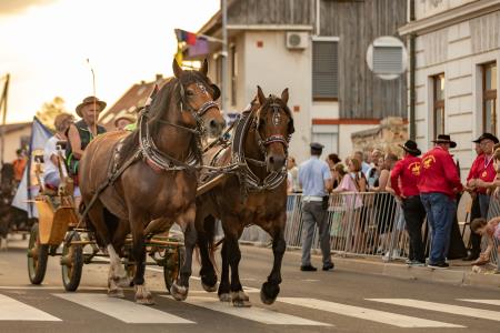 JERNEJEVO-POVORKA2024-161