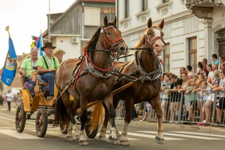 JERNEJEVO-POVORKA2024-169