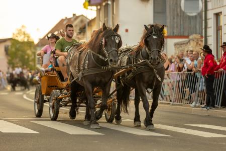 JERNEJEVO-POVORKA2024-174