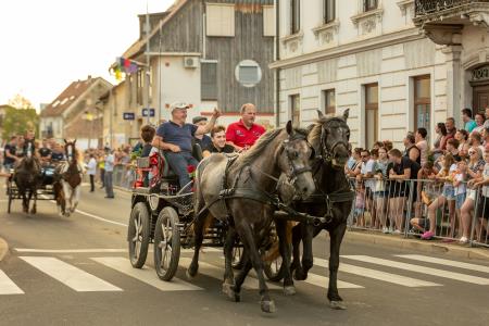 JERNEJEVO-POVORKA2024-187