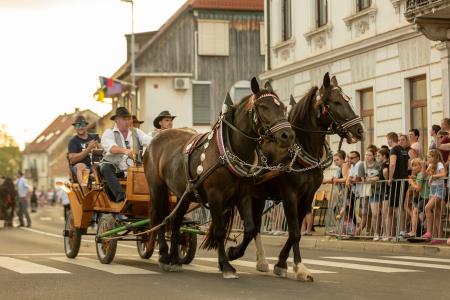 JERNEJEVO-POVORKA2024-190