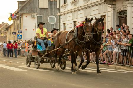 JERNEJEVO-POVORKA2024-194