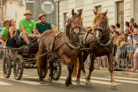 JERNEJEVO-POVORKA2024-197