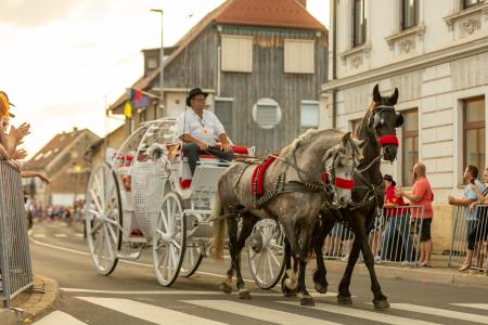 JERNEJEVO-POVORKA2024-201