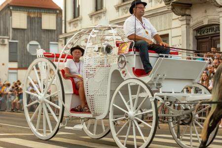 JERNEJEVO-POVORKA2024-203