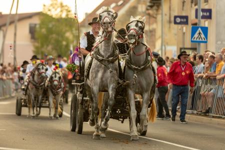 JERNEJEVO-POVORKA2024-208