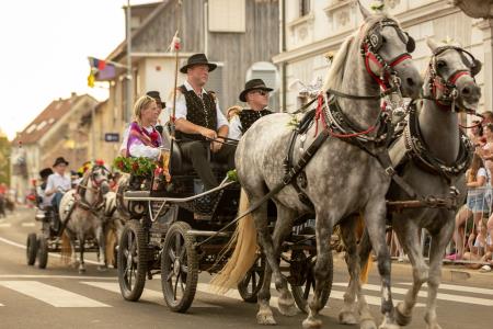 JERNEJEVO-POVORKA2024-209