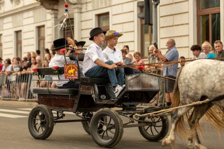 JERNEJEVO-POVORKA2024-210