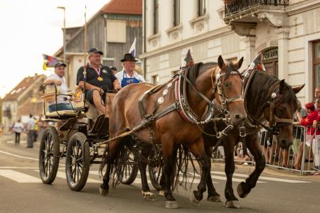 JERNEJEVO-POVORKA2024-213
