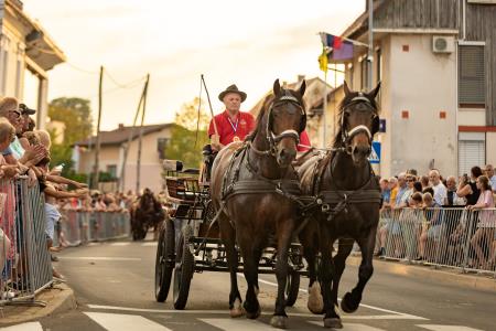 JERNEJEVO-POVORKA2024-216