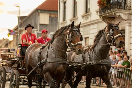 JERNEJEVO-POVORKA2024-217