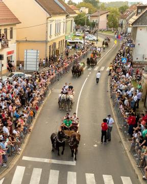 JERNEJEVO-POVORKA2024-220