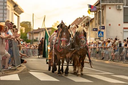 JERNEJEVO-POVORKA2024-221