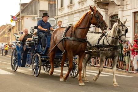 JERNEJEVO-POVORKA2024-225