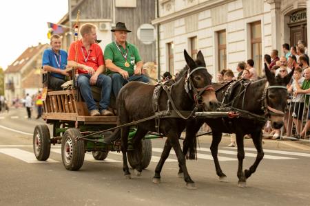 JERNEJEVO-POVORKA2024-228