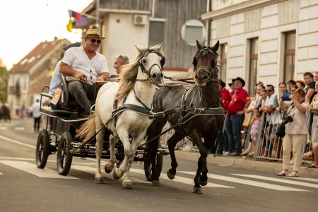 JERNEJEVO-POVORKA2024-232